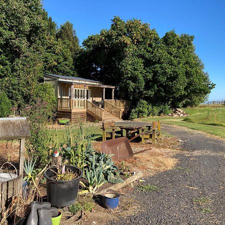 The Treehut Villa Ohauiti Exterior foto