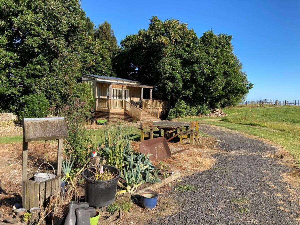 The Treehut Villa Ohauiti Exterior foto